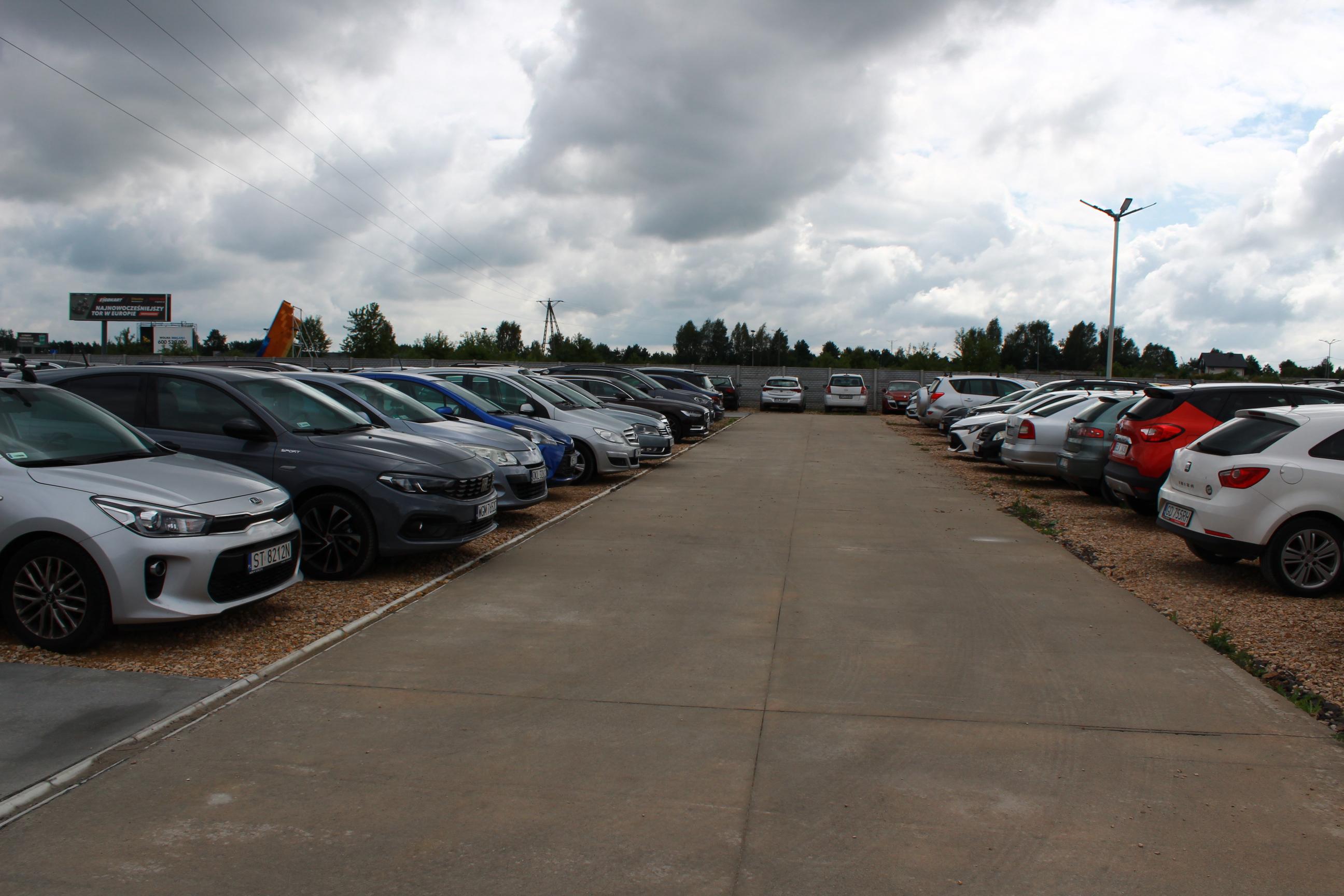 Byczy Parking - zdjęcie 5